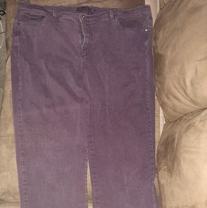 Gloria Vanderbilt plum pants